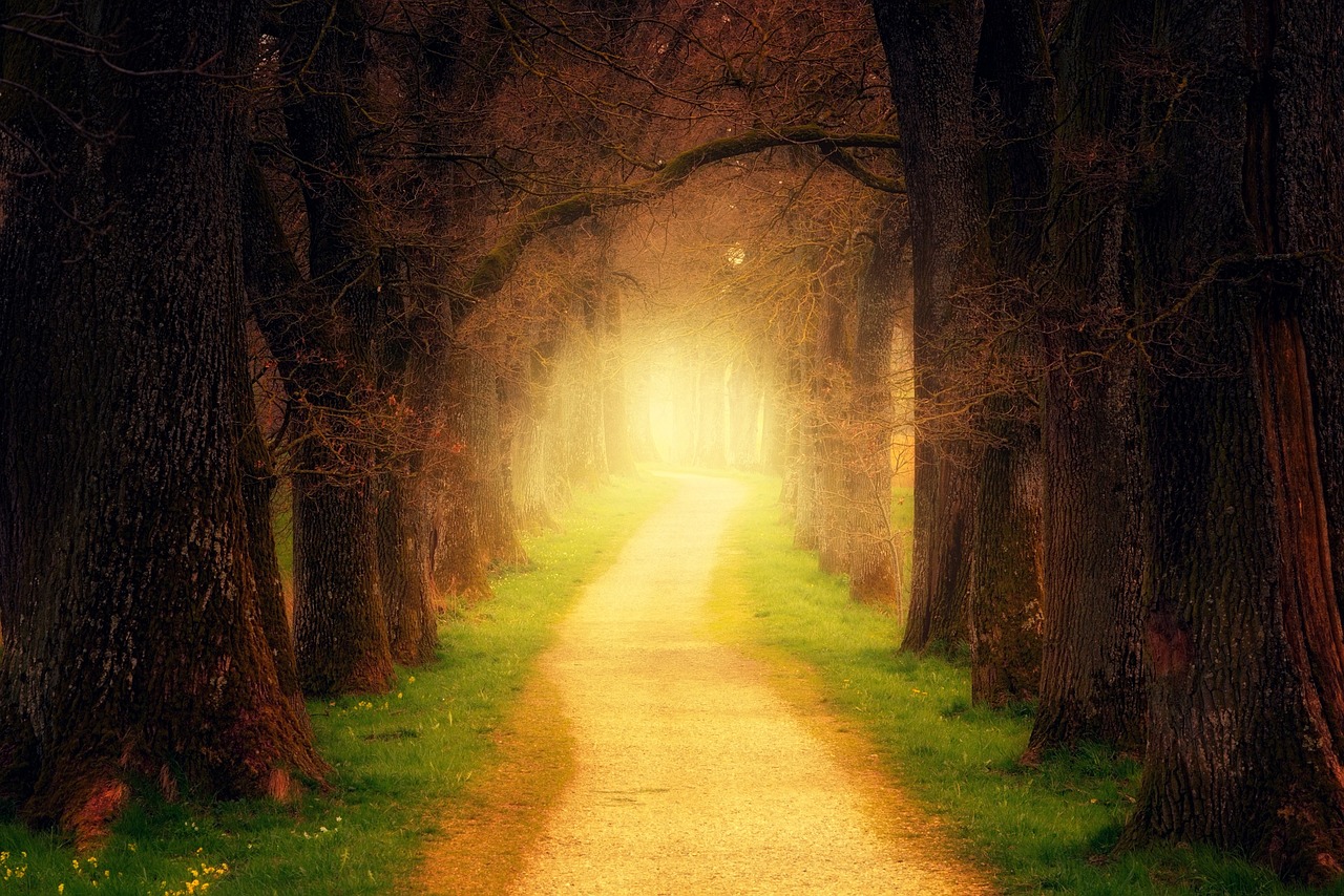 Be Led By Divine Guidance