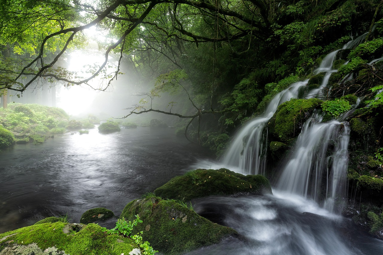 Refresh In The Springs Of Joy